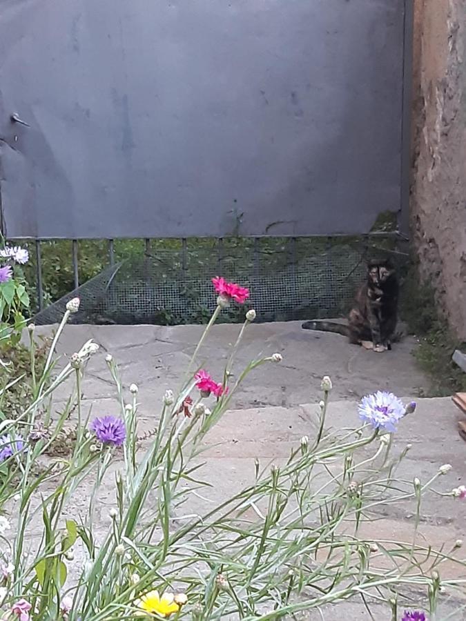 Hotel La Marmotta Luserna San Giovanni Zewnętrze zdjęcie