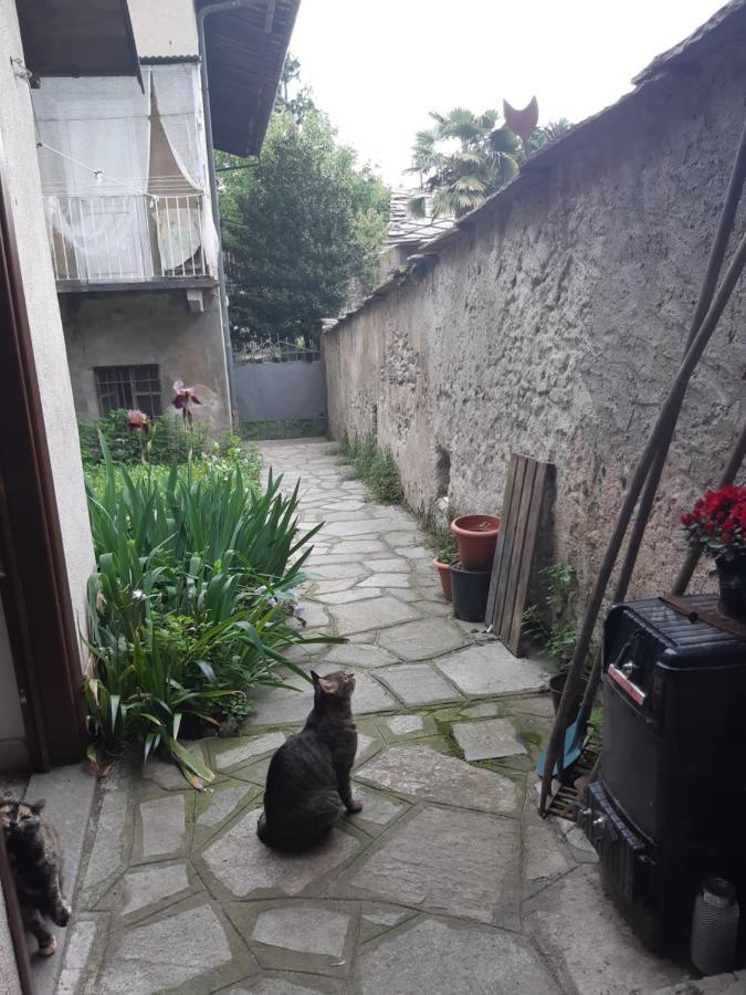 Hotel La Marmotta Luserna San Giovanni Zewnętrze zdjęcie