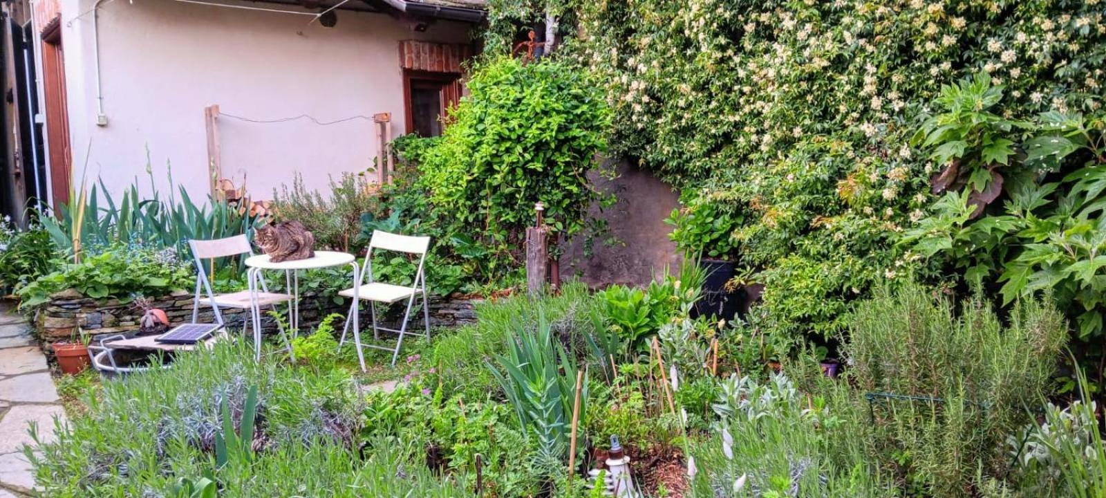 Hotel La Marmotta Luserna San Giovanni Zewnętrze zdjęcie